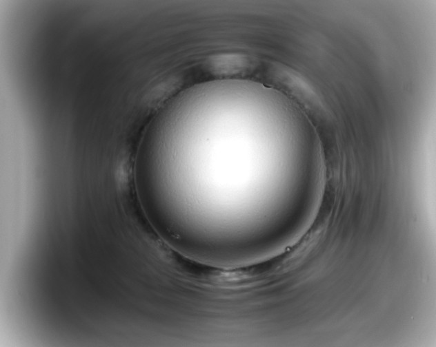 X0000098120277200804111121