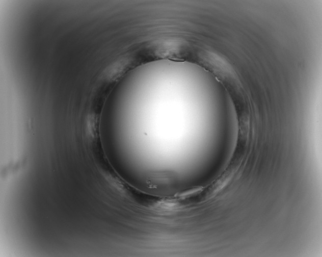 X0000098120280200804111121