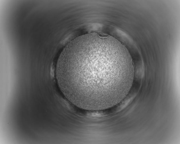 X0000098120282200804111121