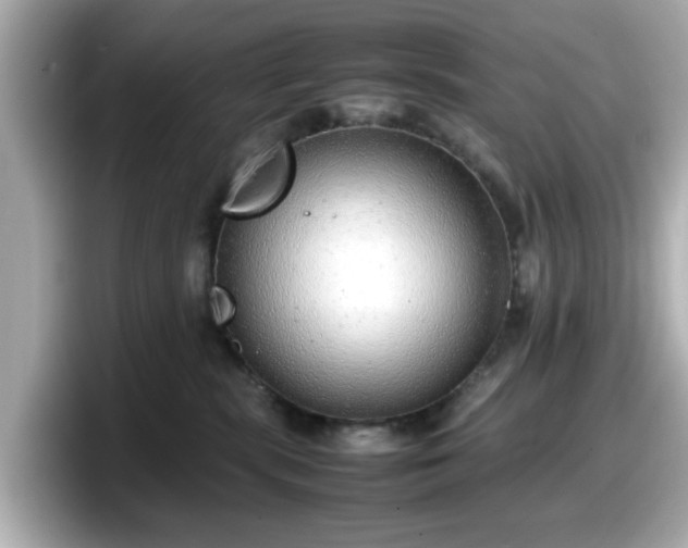 X0000098120283200804111121
