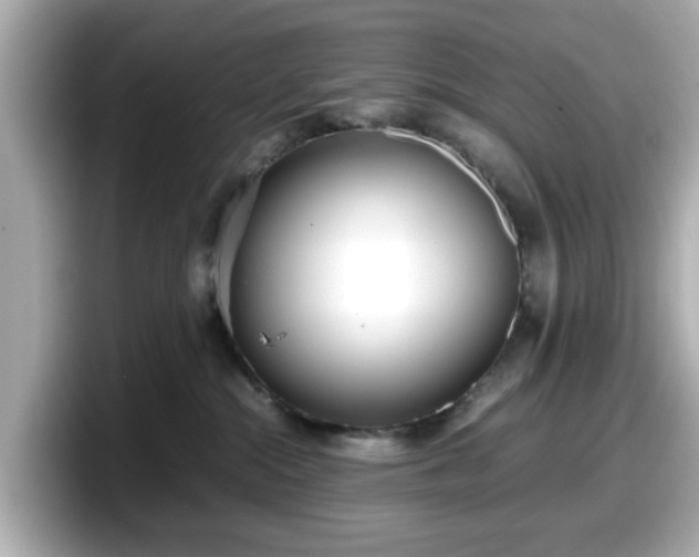 X0000098120284200804111121