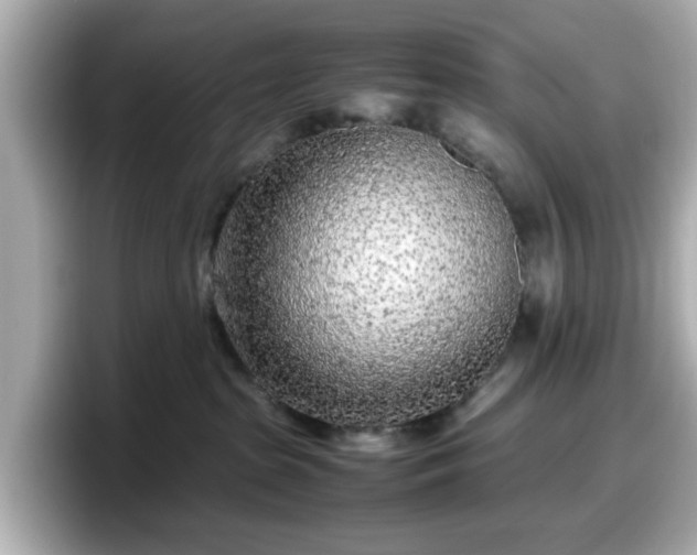 X0000098120285200804111121