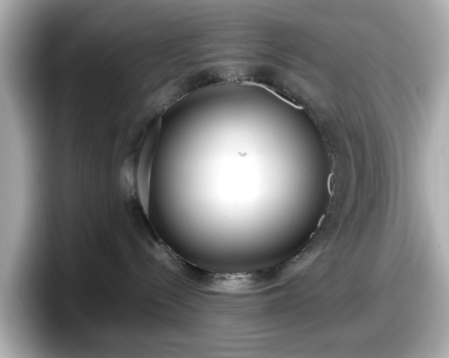 X0000098120288200804111121