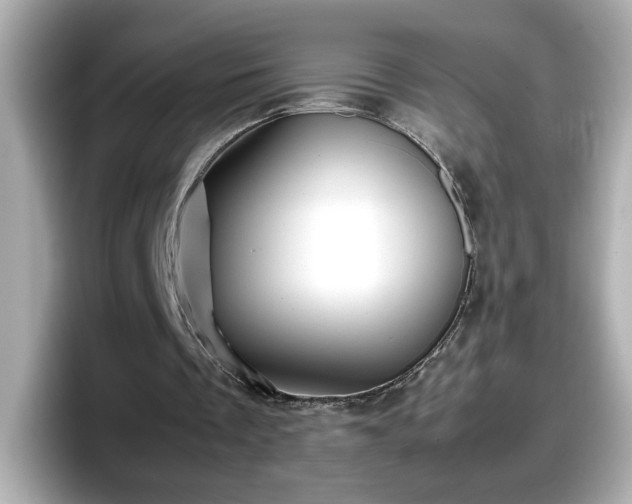 X0000098120289200804111121