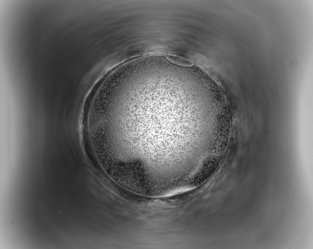 X0000098120290200804111121