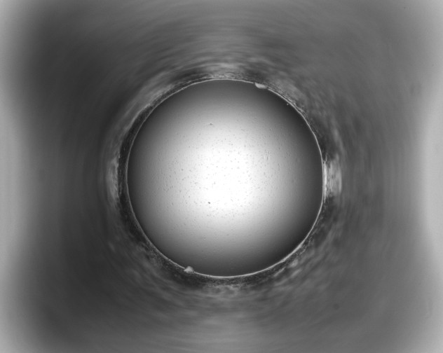 X0000098120291200804111121