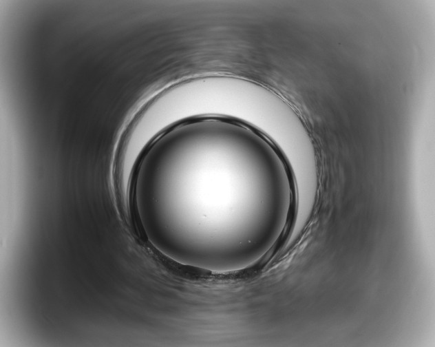 X0000098120292200804111121