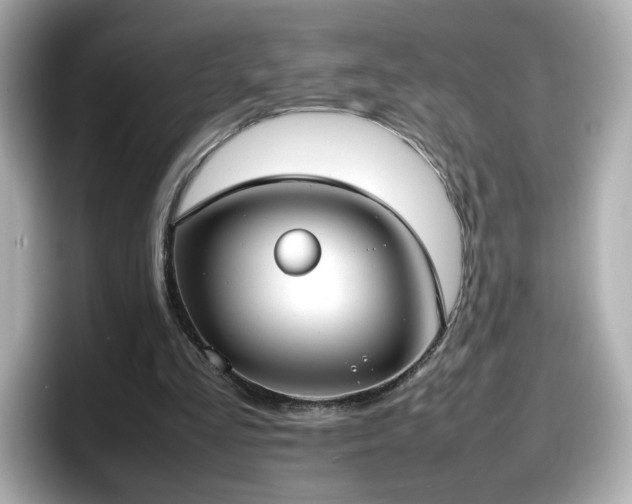 X0000098120293200804111121