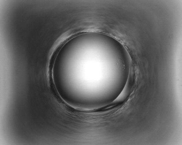 X0000098120296200804111120