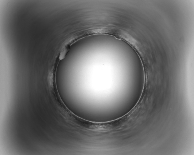 X0000098120297200804111120