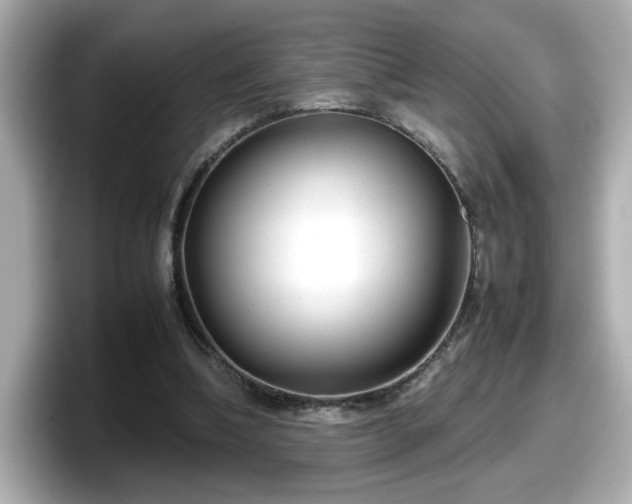 X0000098120298200804111120