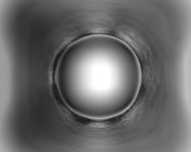 X0000098120299200804111120