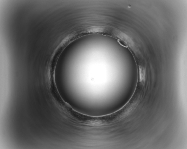 X0000098120300200804111120