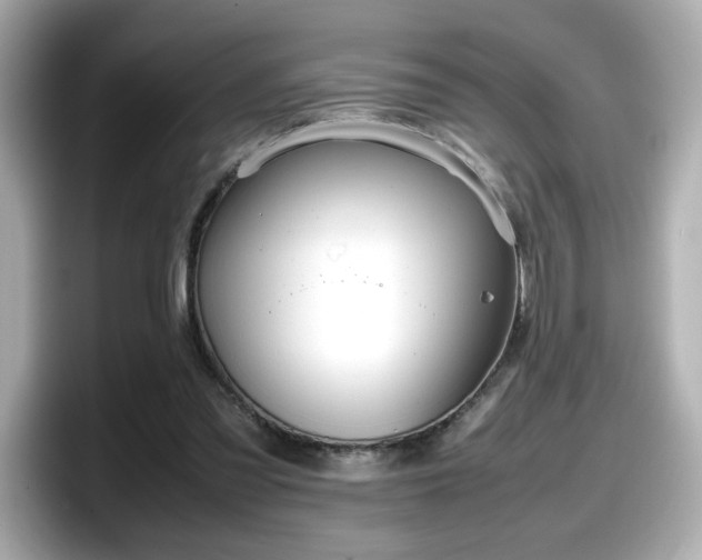 X0000098120301200804111120