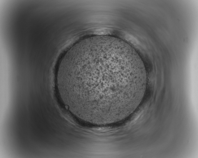 X0000098120303200804111120