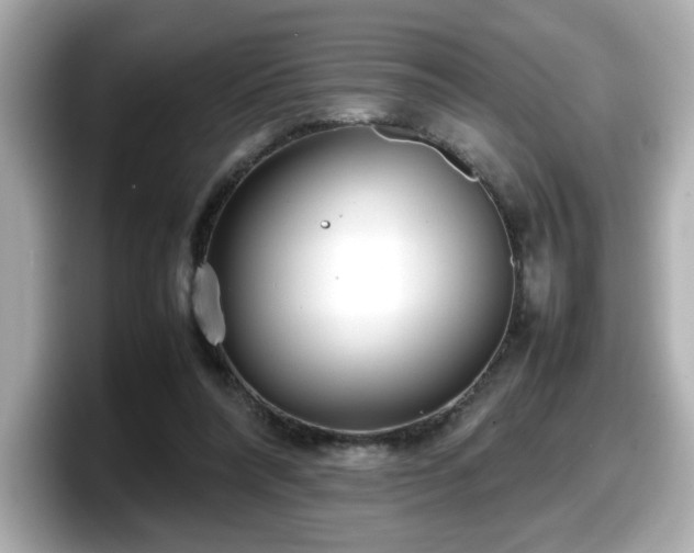 X0000098120304200804111120