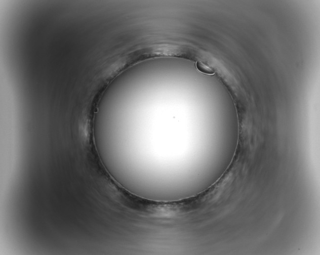 X0000098120305200804111120