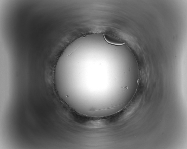 X0000098120307200804111120