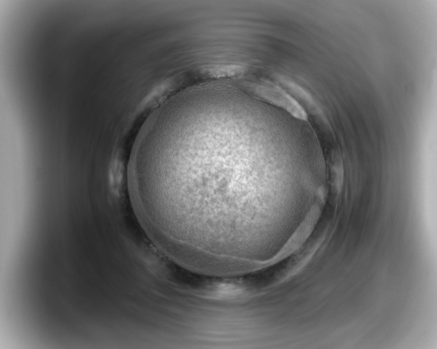 X0000098120308200804111120