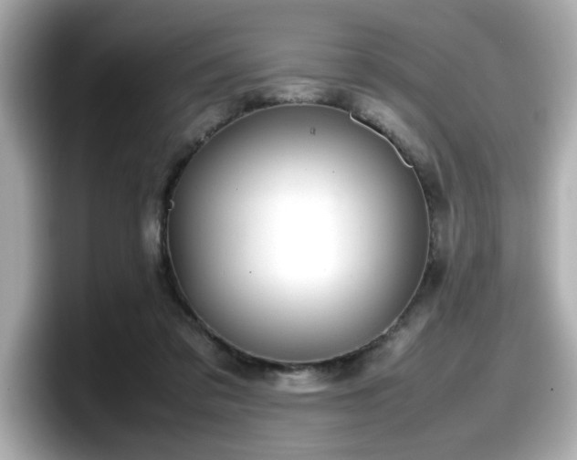 X0000098120309200804111120