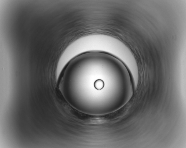 X0000098120316200804111120