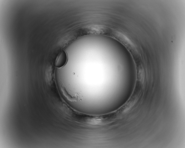 X0000098120318200804111120