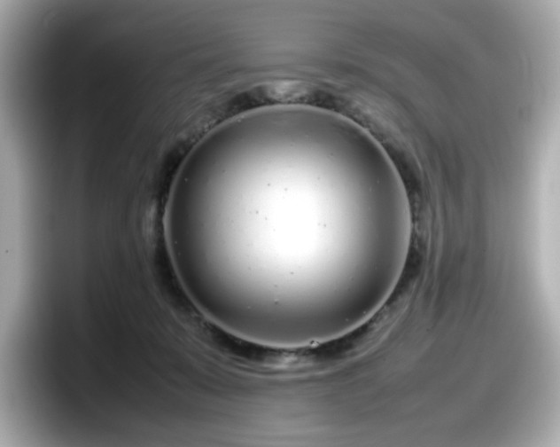 X0000098120319200804111120