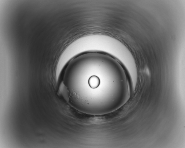 X0000098120320200804111120