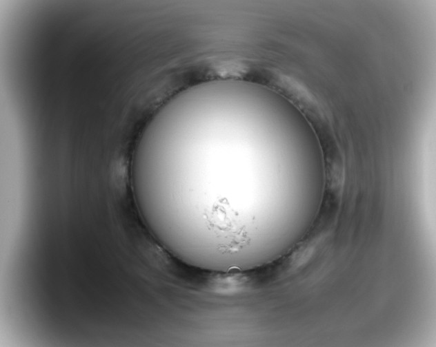 X0000098120321200804111120