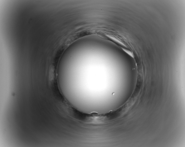 X0000098120323200804111120