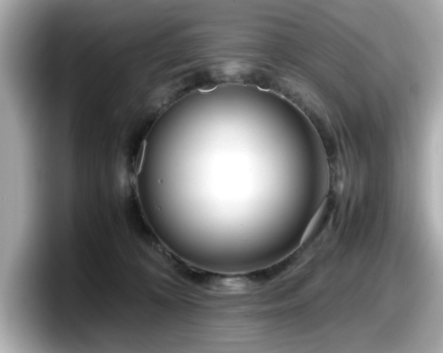 X0000098120324200804111120