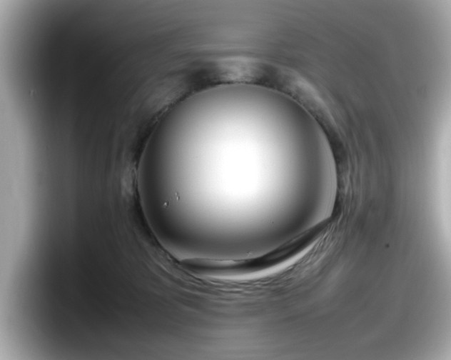 X0000098120325200804111120