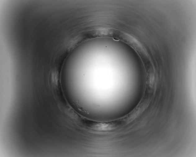 X0000098120326200804111120