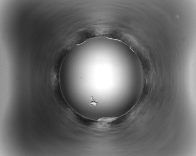 X0000098120327200804111120