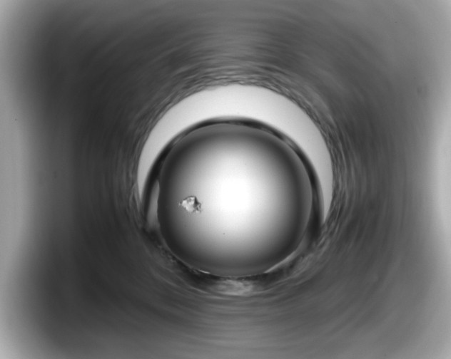 X0000098120328200804111120