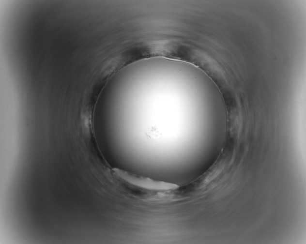 X0000098120329200804111120