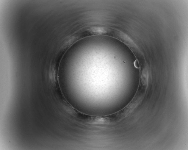 X0000098120330200804111120