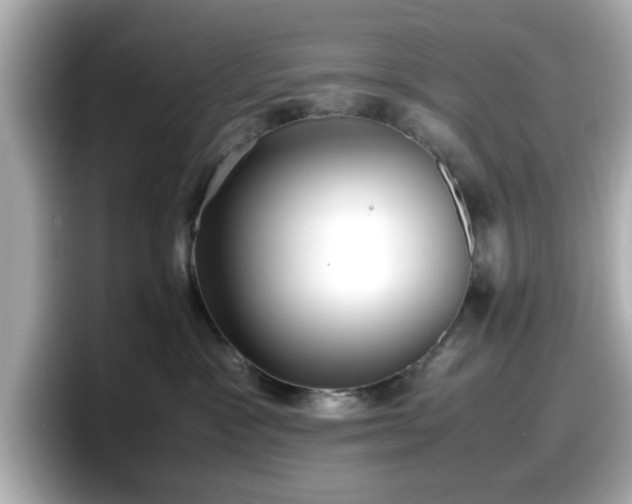 X0000098120333200804111120