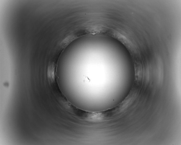 X0000098120334200804111120