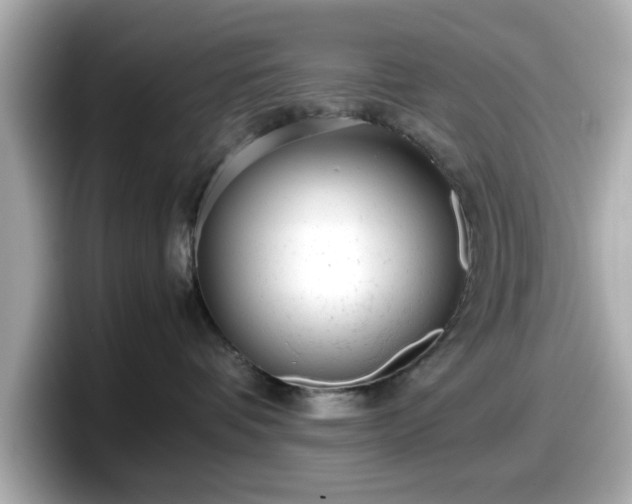 X0000098120336200804111120