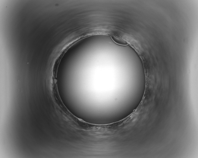 X0000098120338200804111119