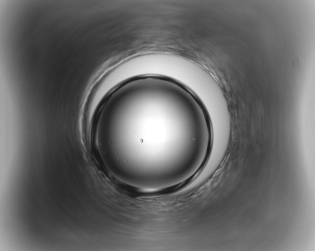 X0000098120340200804111119