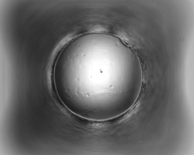 X0000098120341200804111119