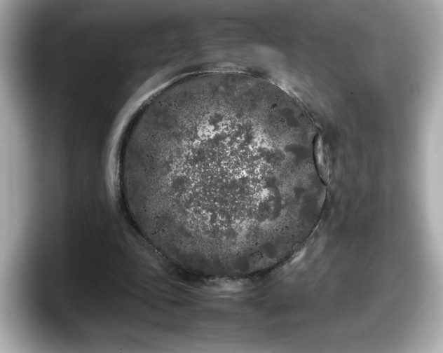 X0000098120343200804111119