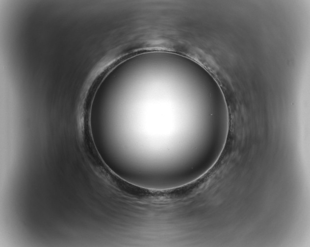 X0000098120344200804111119