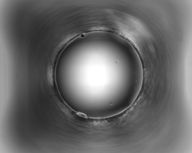 X0000098120345200804111119
