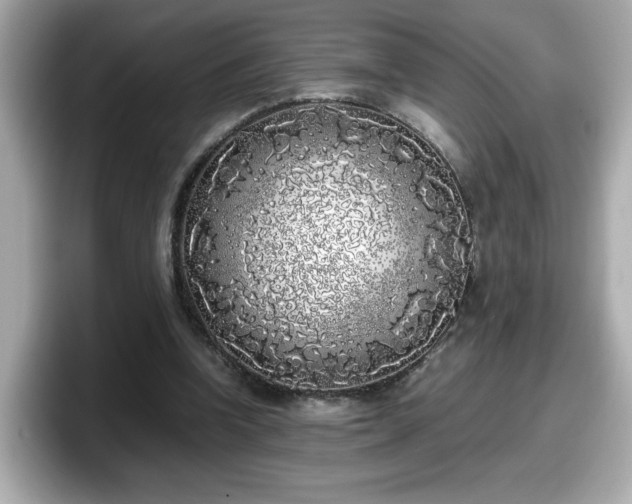 X0000098120346200804111119