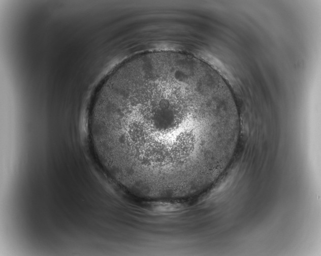 X0000098120347200804111119