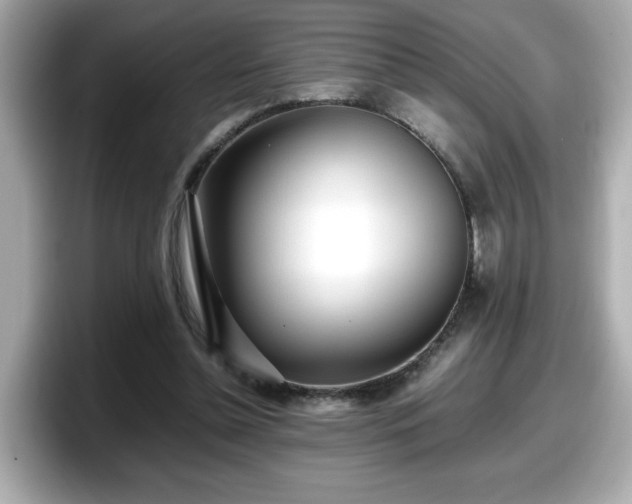 X0000098120348200804111119