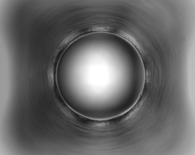 X0000098120349200804111119